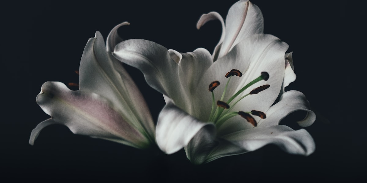 Blumenschmuck auf einem liebevoll gestalteten Grab